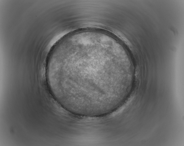 X0000113780877200910211203