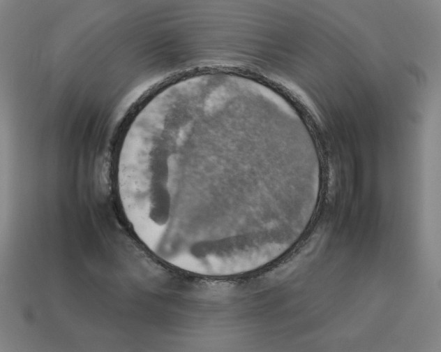 X0000113780878200910211203