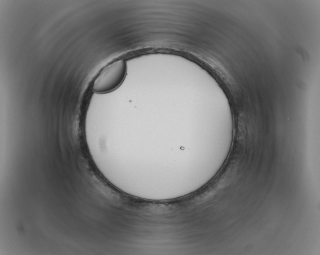 X0000113780880200910211203