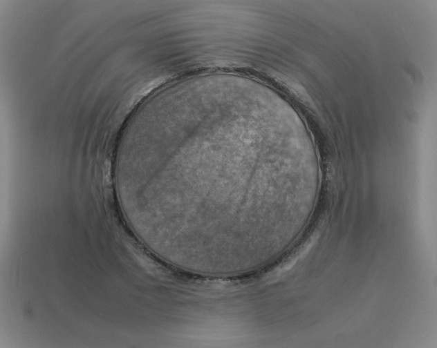 X0000113780881200910211203