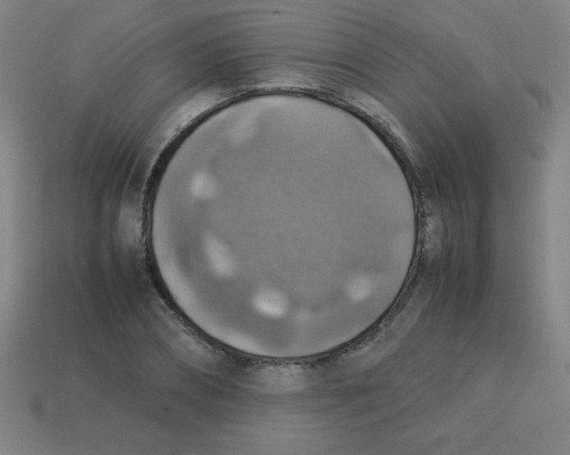 X0000113780882200910211203