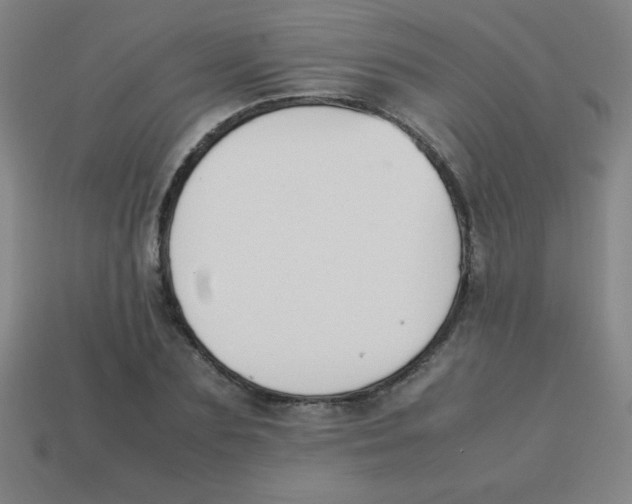 X0000113780883200910211203