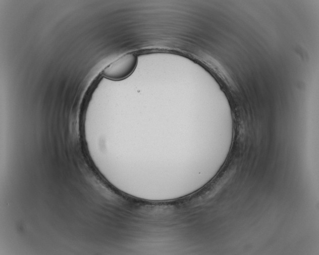 X0000113780884200910211203