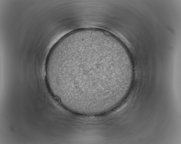 X0000113780885200910211203