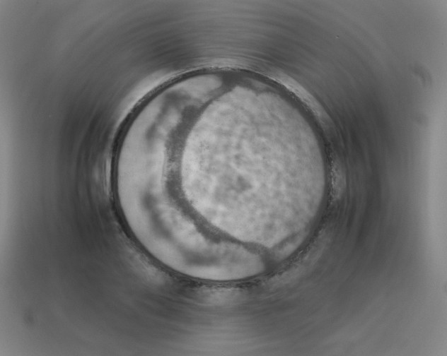 X0000113780886200910211203