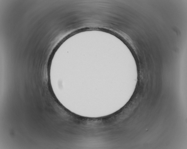 X0000113780887200910211203