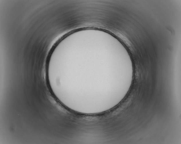 X0000113780888200910211203