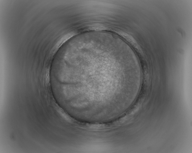 X0000113780889200910211203