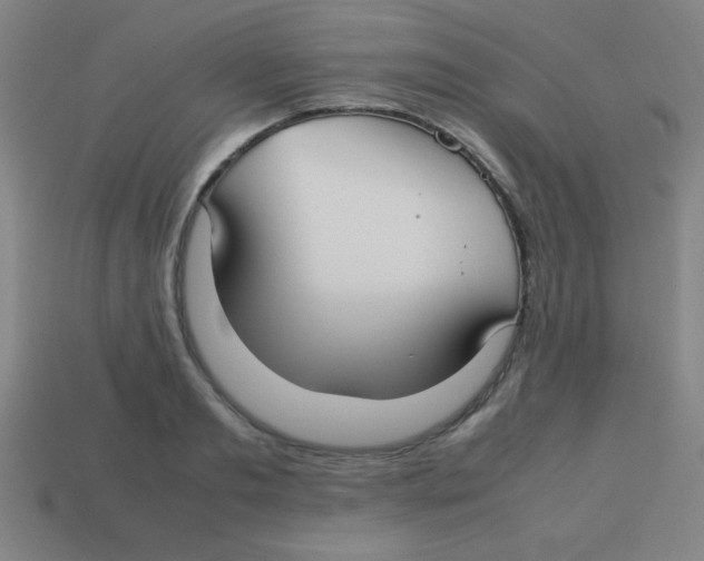 X0000113780893200910211203