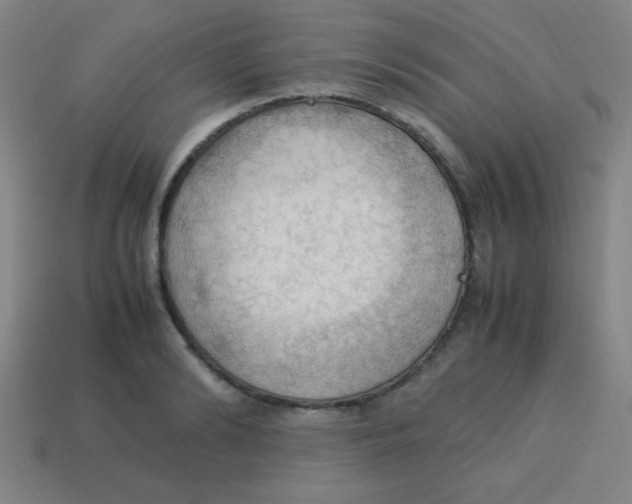 X0000113780894200910211203