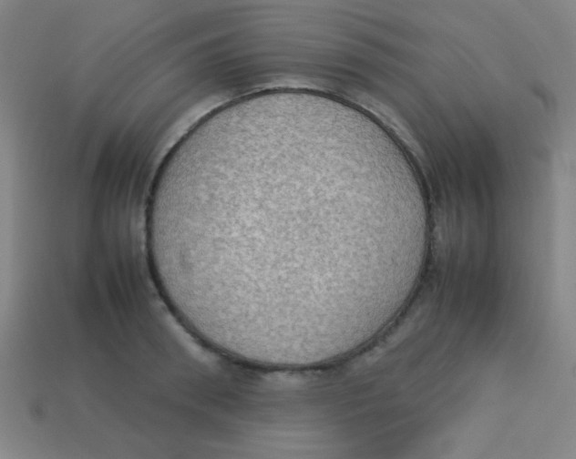 X0000113780898200910211203