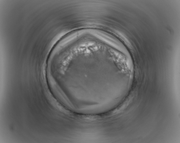 X0000113780899200910211203