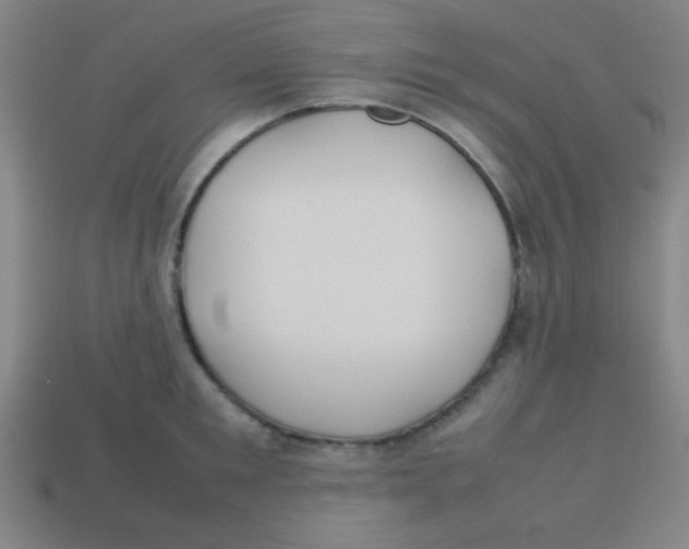 X0000113780901200910211203