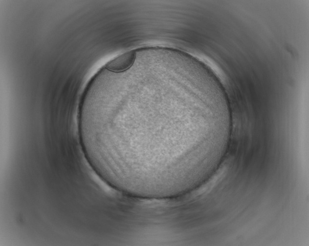 X0000113780902200910211203