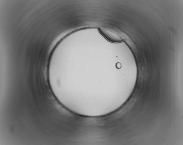 X0000113780904200910211203