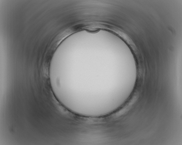 X0000113780905200910211203