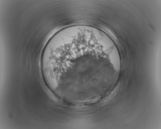 X0000113780907200910211202