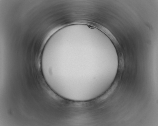 X0000113780908200910211202