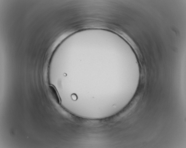 X0000113780909200910211202