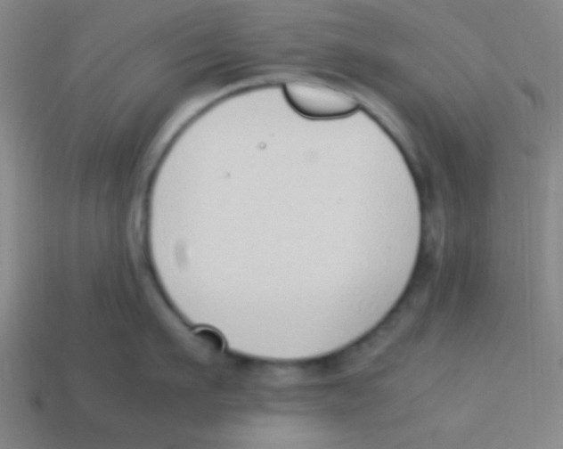 X0000113780911200910211202