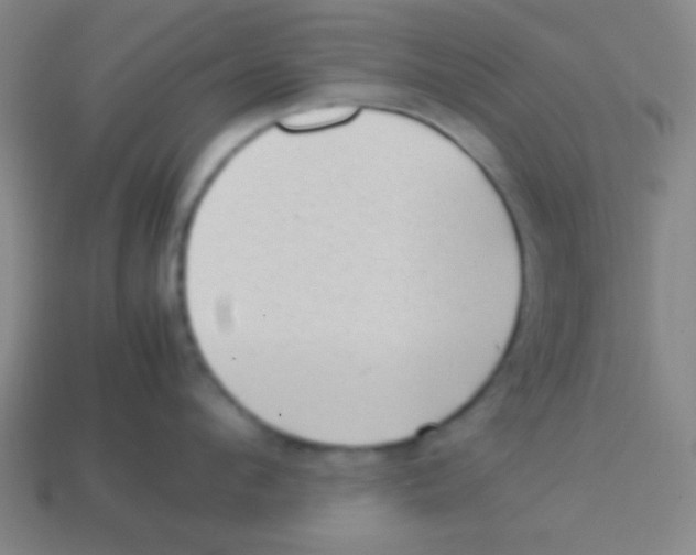 X0000113780912200910211202