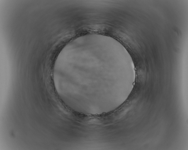 X0000113780913200910211202