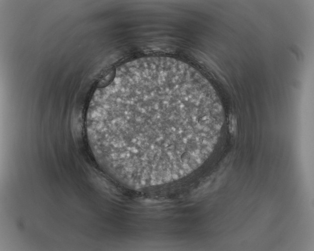 X0000113780915200910211202