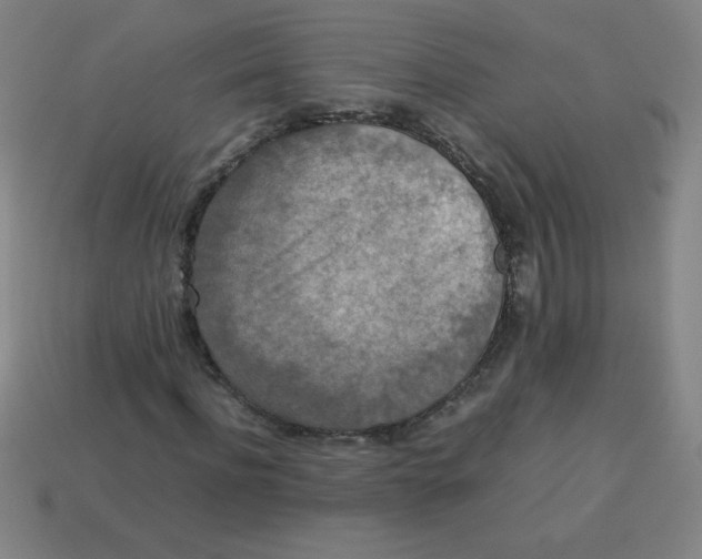 X0000113780916200910211202