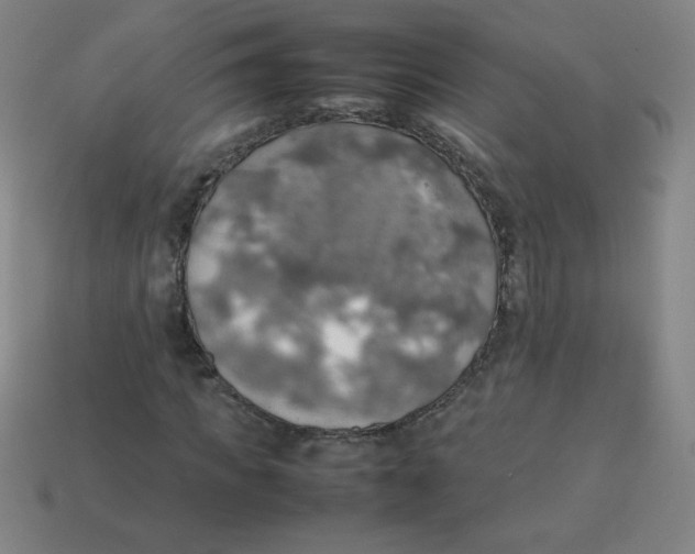 X0000113780917200910211202