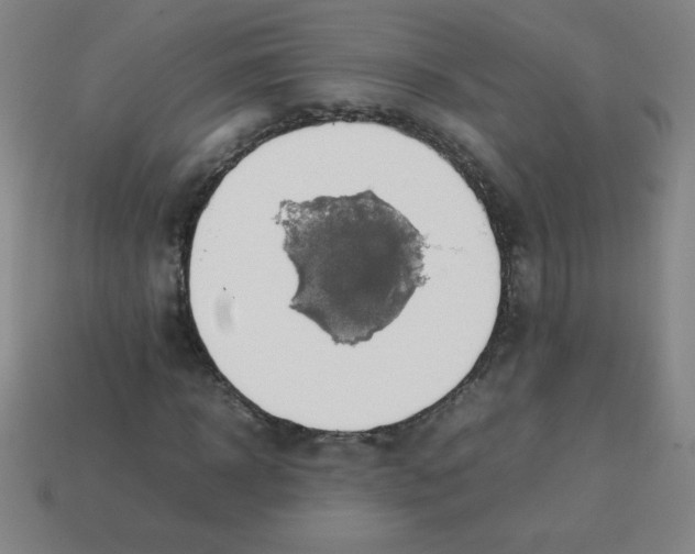 X0000113780918200910211202