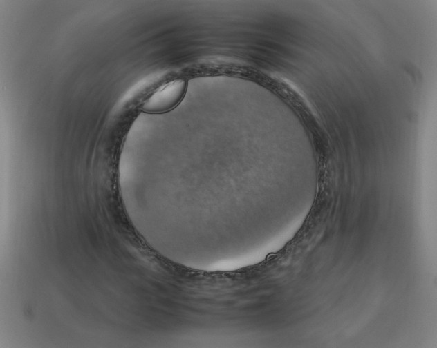 X0000113780919200910211202