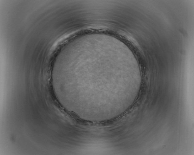 X0000113780920200910211202