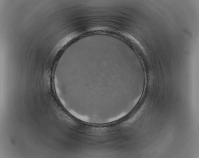 X0000113780921200910211202