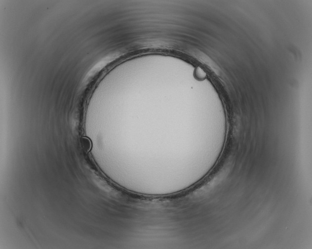 X0000113780922200910211202