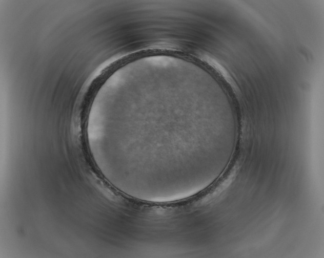 X0000113780923200910211202