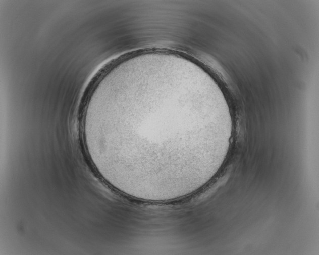 X0000113780924200910211202