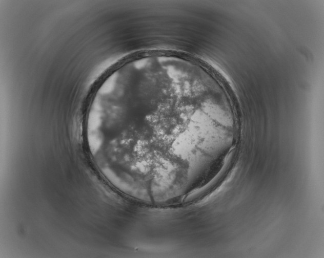 X0000113780925200910211202