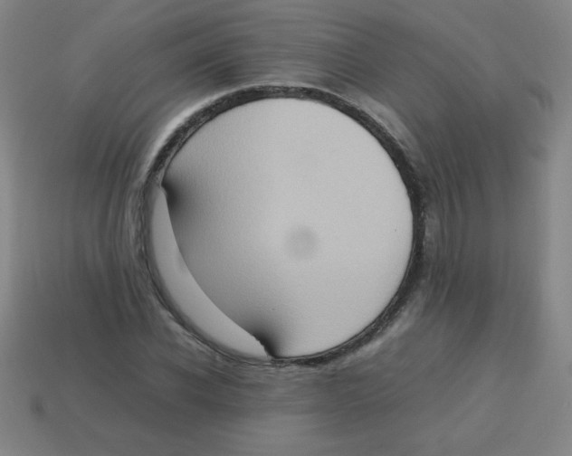 X0000113780926200910211202