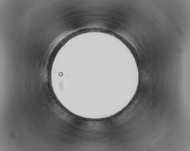 X0000113780927200910211202