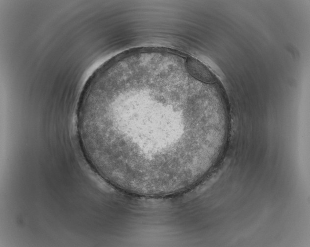 X0000113780928200910211202