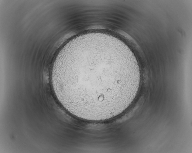 X0000113780929200910211202