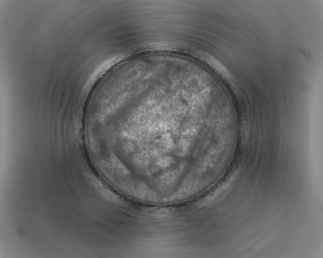 X0000113780930200910211202