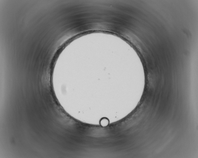 X0000113780931200910211202