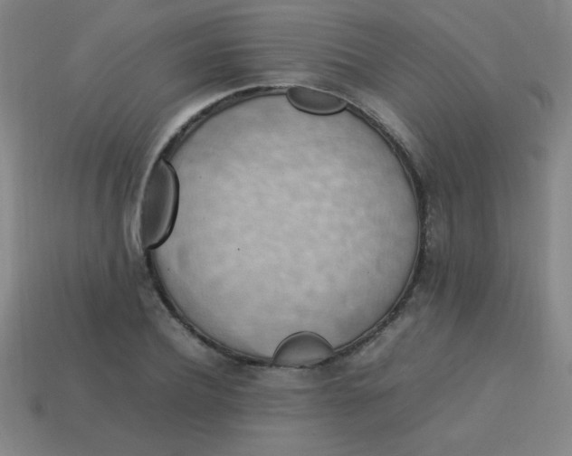 X0000113780932200910211202