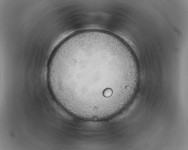 X0000113780933200910211202