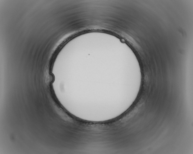 X0000113780934200910211202