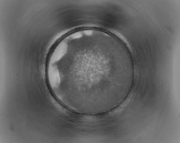 X0000113780935200910211202