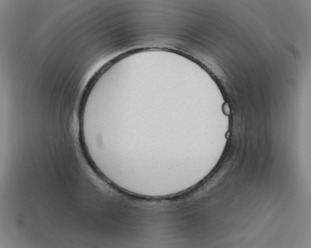 X0000113780936200910211202