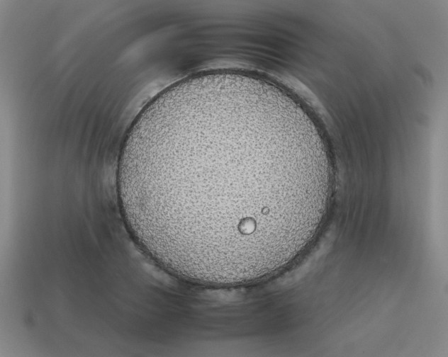 X0000113780937200910211202