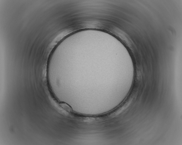 X0000113780938200910211202